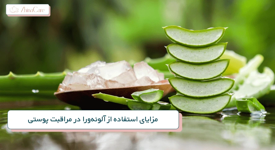 خواص آلوئه ورا برای پوست